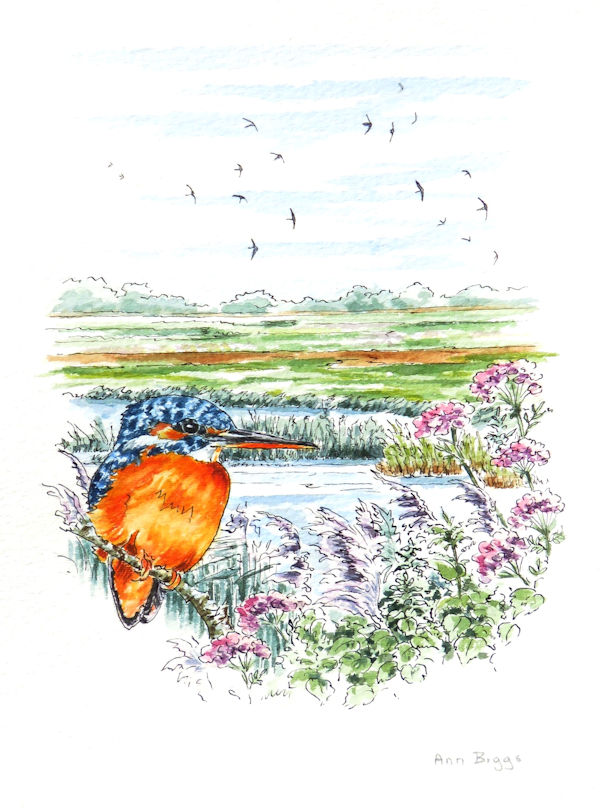 Welney Late Summer
